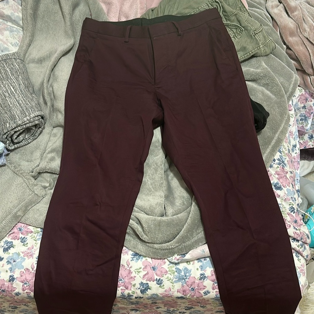 Express men’s maroon dress pants